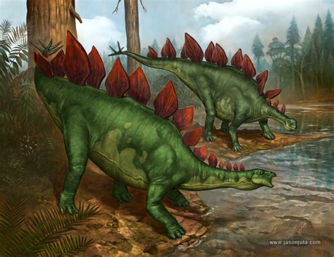 Stegosaurus Stenops by jasonjuta on DeviantArt