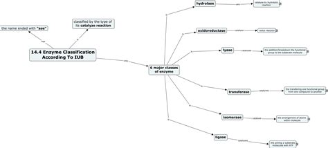 14.4 ENZYME CLASSIFICATION ACCORDING TO IUB