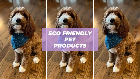 Eco Friendly Pet Products for More Consciously Cute Fur Babies - PunkMed