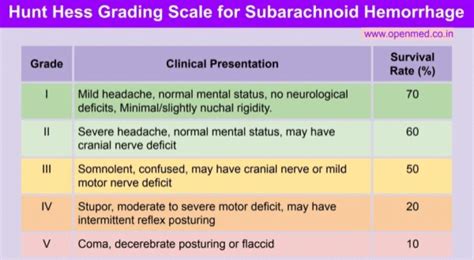 Management of Subarachnoid Hemorrhage | Emergency Medicine Cases