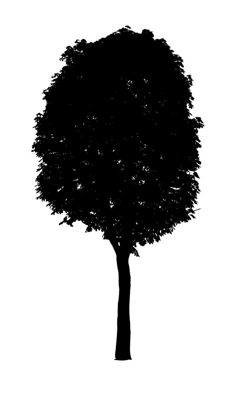 7 Black Tree PNG Image Transparent | OnlyGFX.com