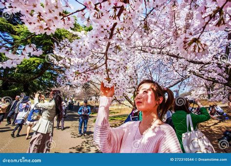 Young Woman Enjoying Hanami ( Cherry Blossom) in Shinjuku Gyoen Park Editorial Stock Image ...