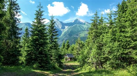 mountains, forest, trees Wallpaper, HD Nature 4K Wallpapers, Images and Background - Wallpapers Den