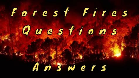 Forest Fires Questions & Answers - WittyChimp