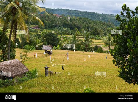 Landscape on Bali, Indonesia Stock Photo - Alamy