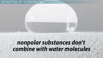 Hydrophobic | Definition, Effect & Examples - Lesson | Study.com