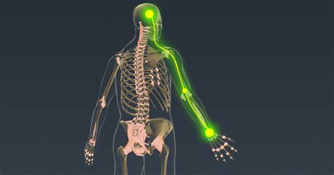 Tiny Neural Implant Could Give Spinal Injury Patients Control Over Their Own Limbs Again