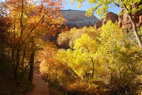 America's Great Outdoors, Fall is a great time to visit Zion National Park...