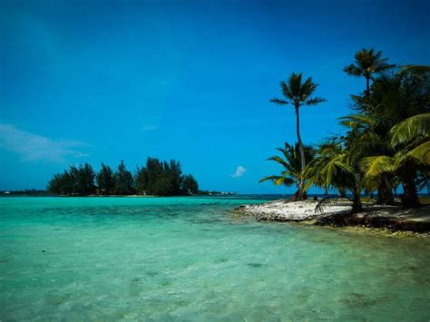 Water Cay - Utila, Bay Islands, Honduras