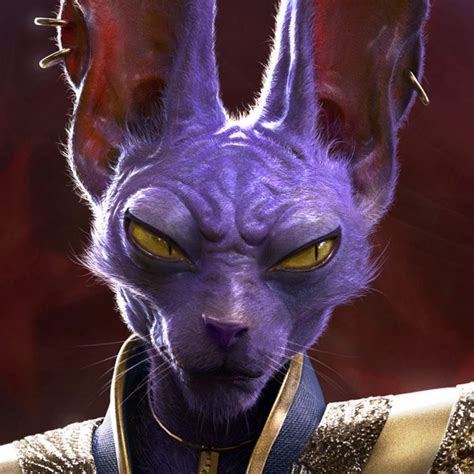 Beerus The Destroyer, Evan Whitefield on ArtStation at https://www ...