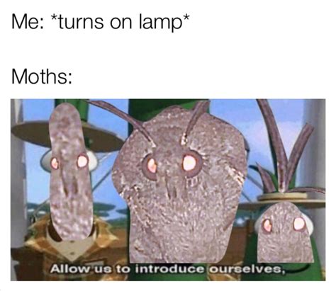 Moth Lamp - Meme by IanR16 :) Memedroid