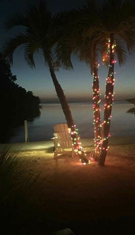 Pin by Robin Moffett on Christmas lights 2016 | Beach christmas, Coastal christmas, Beachy christmas