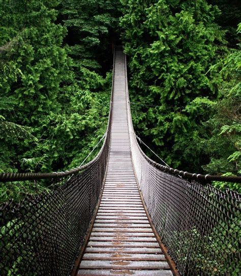 Forest Bridge Wallpapers - 4k, HD Forest Bridge Backgrounds on WallpaperBat