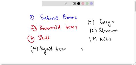 SOLVED: Text: Review Practice Sheet Exercise B. Matching 1. scapula 2 ...