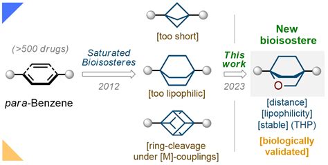 2023-2021 – Mykhailiuk Research Site