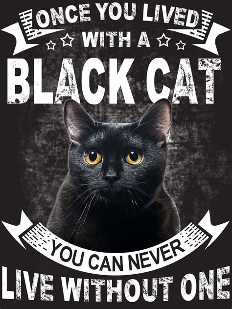 Einmal lebten Sie mit einer schwarzen Katze - # | Black cat quotes ...