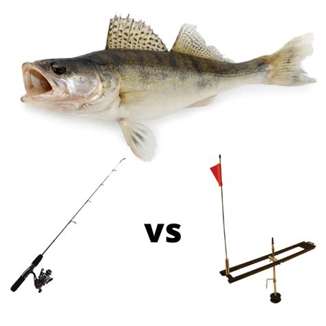 Jigging Vs Tip Ups for Ice Fishing Walleye (Which Is Better)