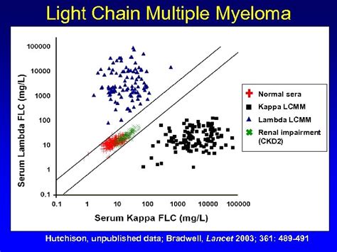 Kappa Free Light Chain Myeloma | Americanwarmoms.org