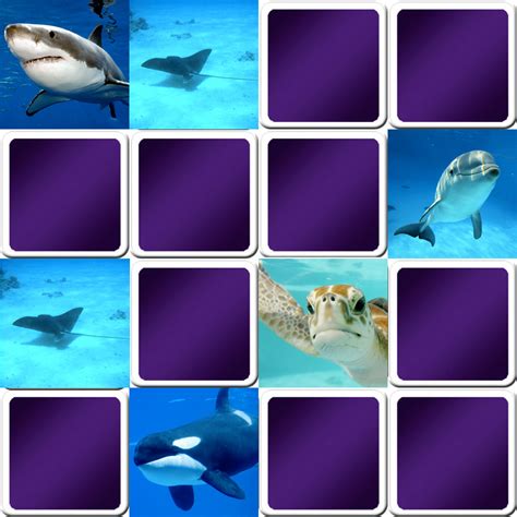 Play matching game for kids - Marine animals - Online & Free | Memozor