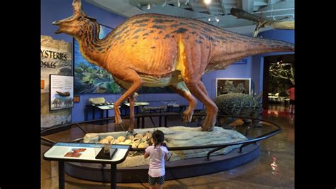 Dinosaurs and more at the San Diego Natural History Museum @ Balboa ...