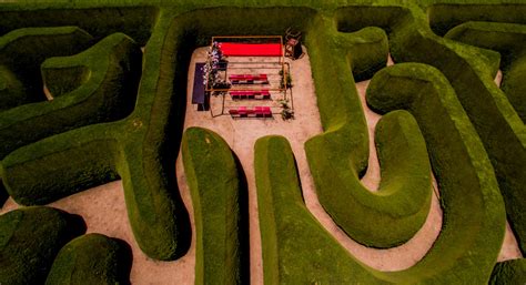 Behind the hedge - the history of Maze House - Maze House