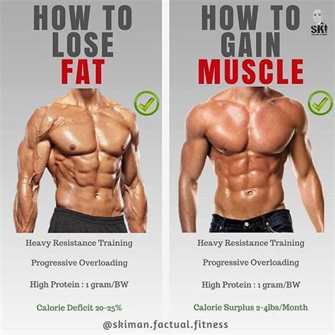 HOW TO LOSE FAT OR GAIN MUSCLE, If you are looking to lose fat, here are the key points and take ...