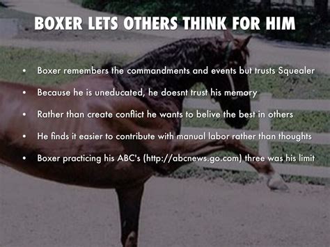 Who Is Boxer In Animal Farm / Mollie From Animal Farm Quotes. QuotesGram : Boxer is a large ...