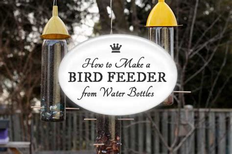 DIY Water Bottle Bird Feeders | Recycled Crafts - Empress of Dirt
