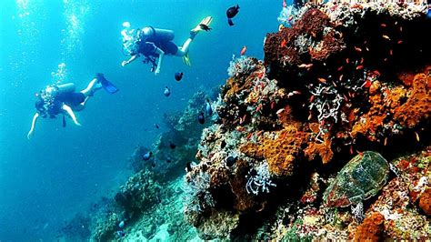 Amed Dive Center - Bali.com
