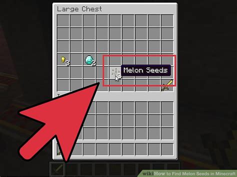 3 Ways to Find Melon Seeds in Minecraft - wikiHow