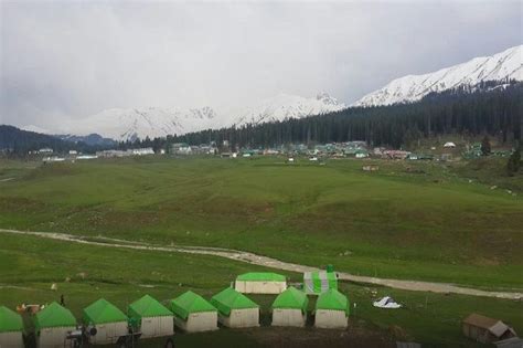 Gulmarg Meadows | Gulmarg - What to Expect | Timings | Tips - Trip Ideas by MakeMyTrip