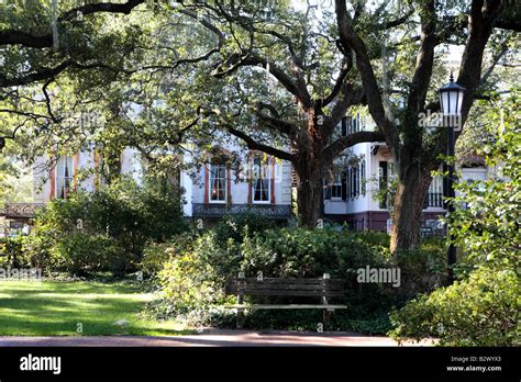 MONTEREY SQUARE IN HISTORIC DISTRICT OF SAVANNAH GEORGIA USA Stock Photo - Alamy