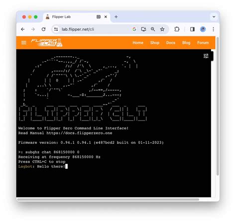 Command-line interface - Flipper Zero - Documentation