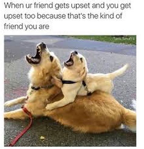 65 Best Funny Friend Memes to Celebrate Best Friends