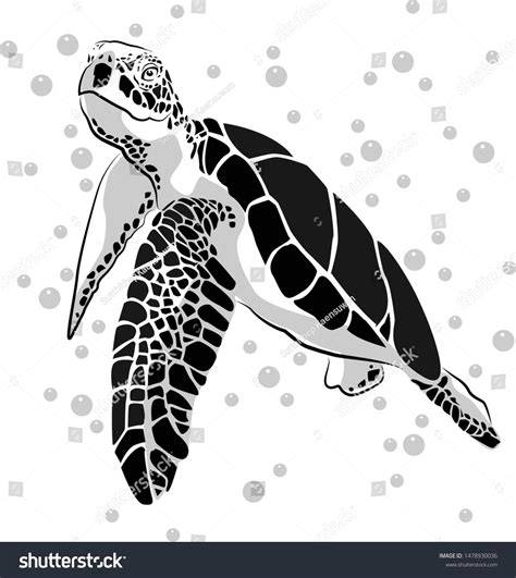 Graphic Sea Turtlevector Illustration Sea Turtle Stock Vector (Royalty ...