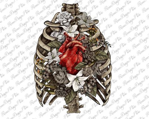 Rib Cage Heart Drawing Clipart