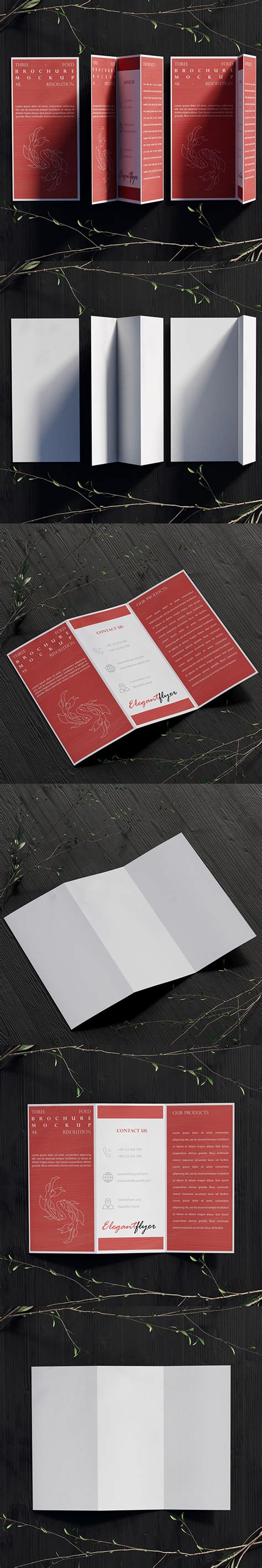 Tri-Fold Brochure Mockup on Behance