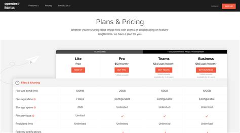 The best pricing page examples: What makes customers want to buy?