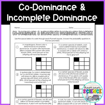 Punnett square practice problems (simple) - Worksheets Library