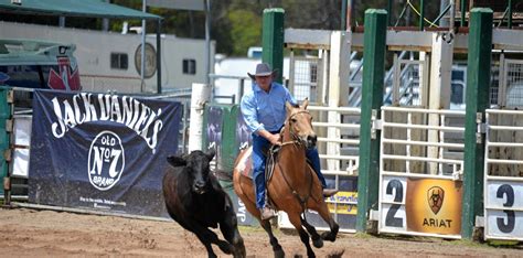 What's on at Warwick Rodeo today: Friday | Warwick Daily News