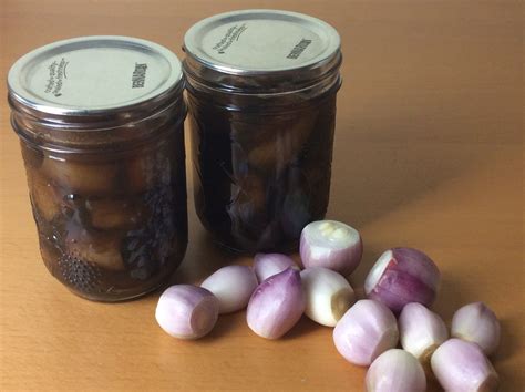 Pickled balsamic onions – zero mile grub