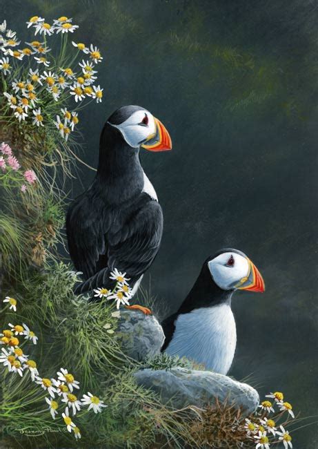 Puffins - Jeremy Paul Wildlife Artist