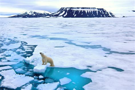 Polar ice caps in Greenland, Antarctica, melting 6 times faster than in ...