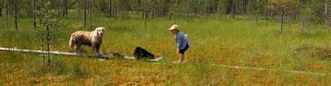 Peatlands - Resilient Communities - Wetlands International