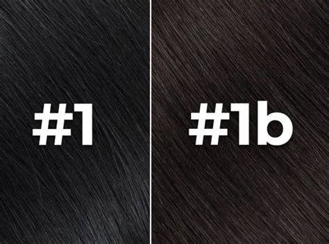 Exploring the World of 1B Hair Color - Hair System