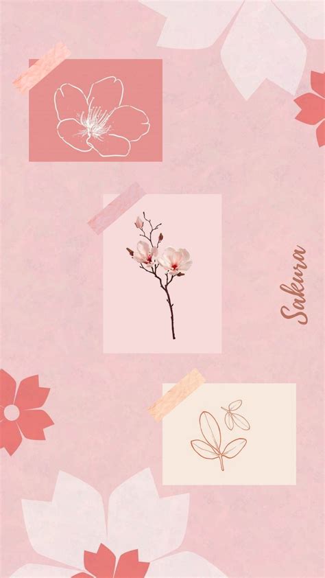 Sakura wallpaper aesthetic | Sfondi per iphone, Sfondi, Piccole finestre