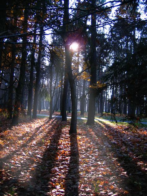 Amazing nature of Belarus » Land Of Ancestors - Belarus