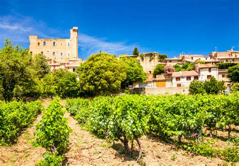 6 Gorgeous Vineyards in France for Wine-Lovers | Travel Earth