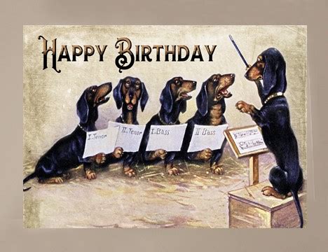 Dog Dachshund Birthday Card | Yesterday's Best