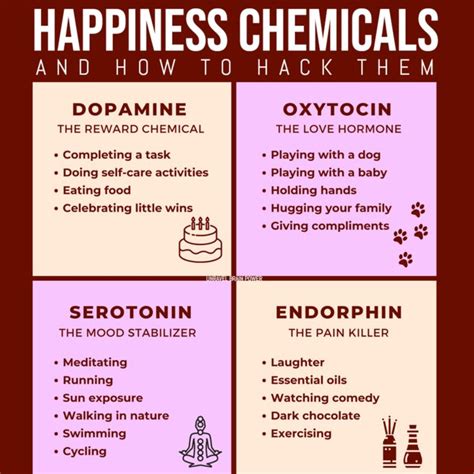 Happiness chemicals and how to hack them | Happy hormones, Brain tricks ...